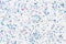 Blue glowing mica glitter confetti on white abstract holiday background.