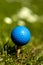 Blue golf ball 3