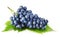 Blue grape with green leaves isolated fruit