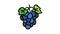 blue grape wine color icon animation