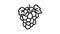 blue grape wine line icon animation