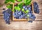 Blue grapes in box with willow and green leaf at old wooden board rustic style copyspace.