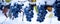 Blue grapes covered with snow in winter. Grape panorama photo