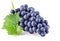 Blue grapes with green leaf