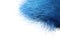 Blue grass hair over white background