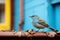 a blue and gray bird sitting on top of a rusty pipe