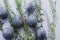 blue gray marble painted Easter eggs on a lilac background and sprigs