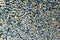 Blue gray with yellow long pile carpet texture background. Polypropylene long pile carpet, close-up, top view
