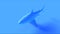 Blue Great White Shark