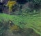 Blue-green algae (Microcystis aeruginosa) blooms in Yalpug lake, Ukraine