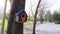 A blue, green, red and pink color wooden Squirrel`s house dwelling, hanging on the tree near jogging road in the public park,