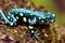 Blue green smooth salamander perched on damp rock in woods.