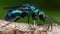 A blue-green wasp sits on a tree