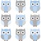 Blue and Grey Cute Owl Collections