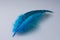 Blue Guinea Plumage Single Feather