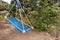 Blue hammock swing surrounded by lush trees in a forest