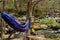 Blue hammock in the woods with a small river