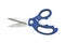 Blue Handle Kitchen Scissors