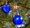 Blue heart and blue bauble on Christmas tree brenches