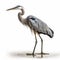 Blue Heron Hunting: Blending Artistry With Engineering And Design