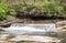 Blue Heron at Plum Creek Waterfall