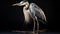 Blue Heron Sculpture-based Photography: Raw And Unpolished National Geographic Photo