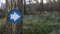 Blue hiking trail marker pointing the direction in the woods