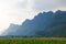 Blue hills behind a green tobacco feild