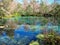 Blue Hole Springs at Ichetucknee Springs State Park