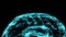 Blue hologram human brain on black text space.