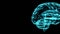 Blue hologram human brain on black text space.