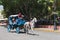 Blue horse drawn carriages on a city street in front of the pla