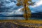 Blue hour in Flathead lake, Montana