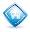 Blue house icon