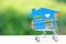 Blue house model on mini shopping cart on natural green background, Business investment and Real estate concept