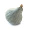 Blue Hubbard Squash