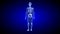 Blue Human Anatomy Body 3D Scan render - rotating seamless loop