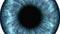 Blue human eye dilating and contracting. Very detailed extreme close-up of iris and pupil.