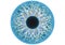 Blue human eye, vector