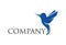Blue Humming Bird Logo Design Concept