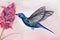 A blue hummingbird bird on a pink background pollinates a bright exotic flower.