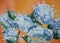 Blue hydrangeas flowers over an orange background