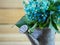 Blue Hydrangeas in a rustic metal watering can against a natural wooden background
