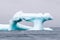 A blue ice berg floating in the Arctic north of Svalbard in the Arctic