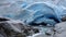 Blue ice of Nigardsbreen glacier arm in Autumn in Norway