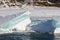 Blue ice on the thawing river in the spring, Altai