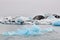 Blue iceberg in Jokulsarlon lagoon