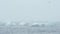Blue icebergs floating on Jokunsarlon glacial