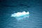 Blue icebergs and ice chunks in water nearby Alaska