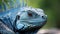 Blue Iguana closeup head, Blue Iguana, Grand Cayman Blue Iguana, blurred background. generative ai